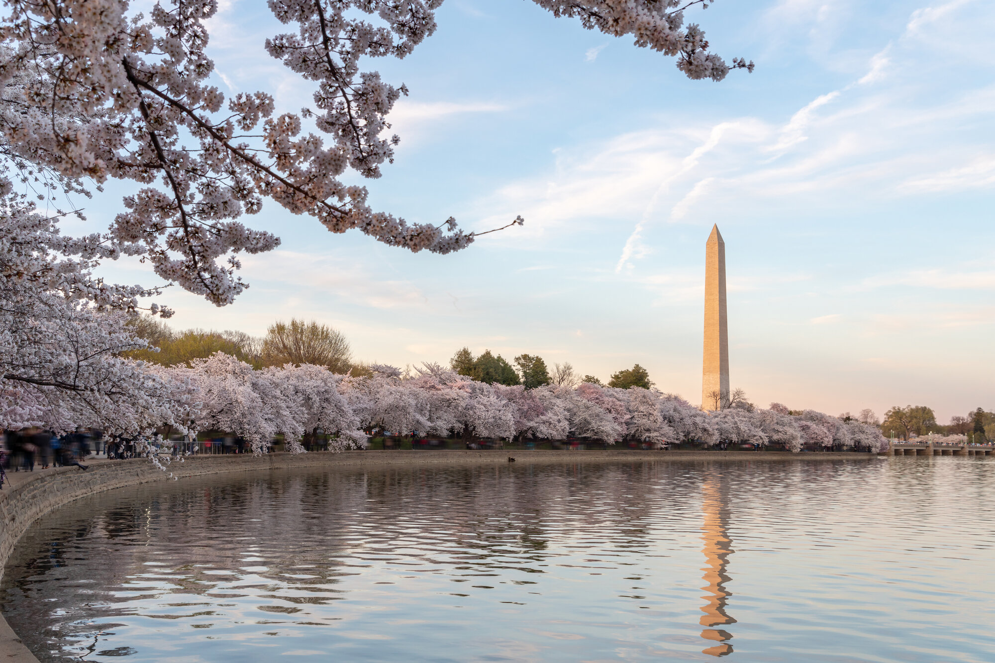 Washington D.C. skyline